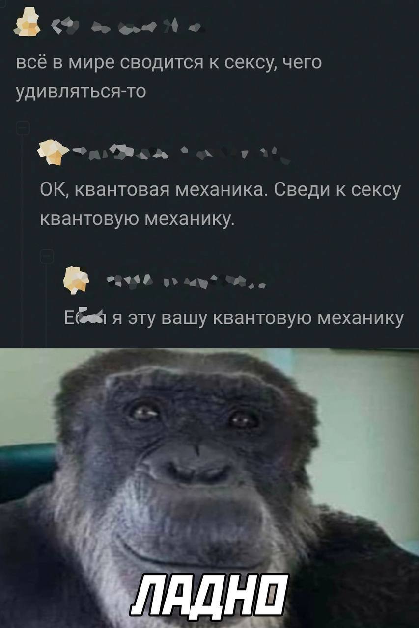 Приколы картинки