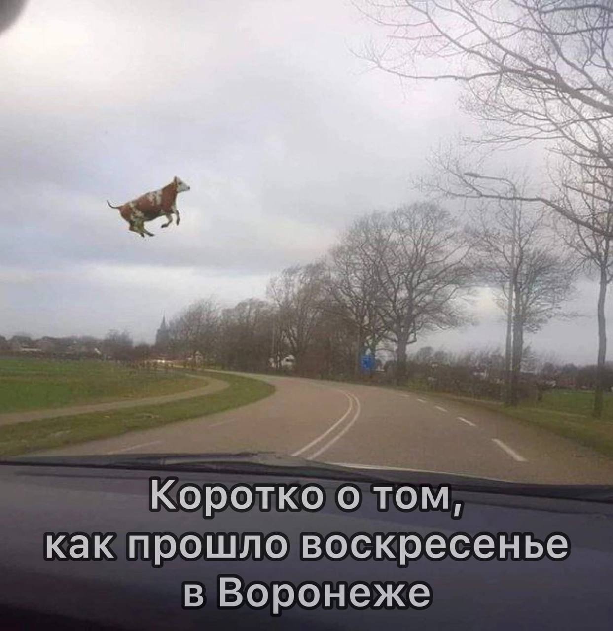 Сильный ветер прикол