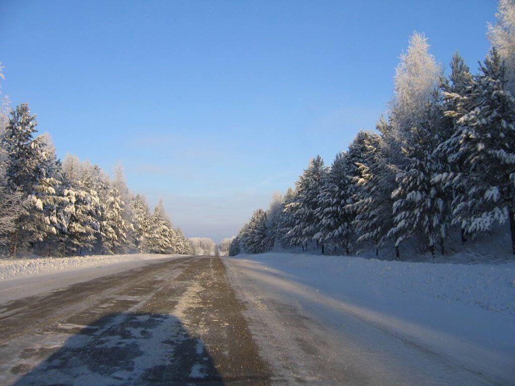 Безумно томск