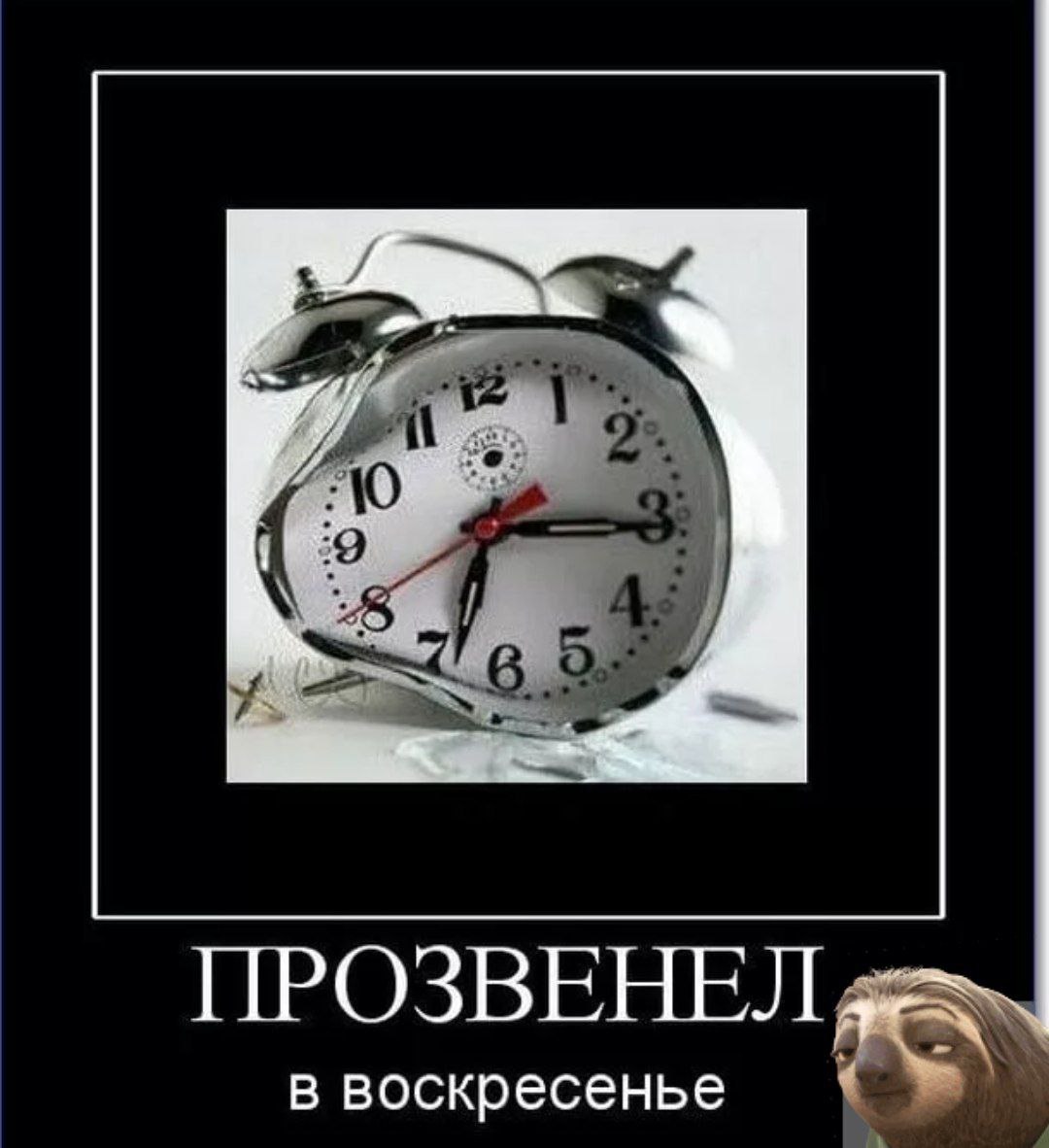 Воскресные приколы. Воскресенье юмор. Смешное про воскресенье. Смешные фото про воскресенье. Веселого воскресенья картинки.