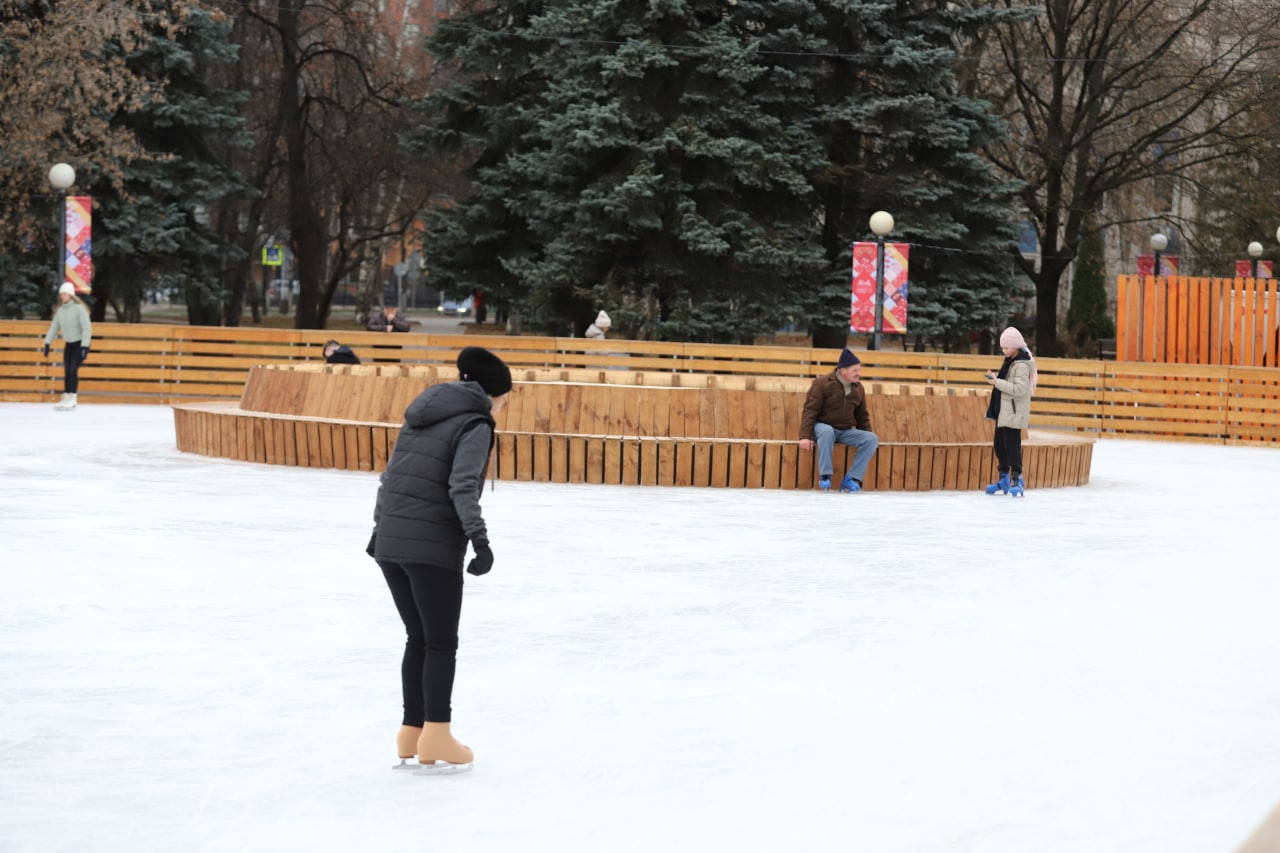 парк толстого химки зима