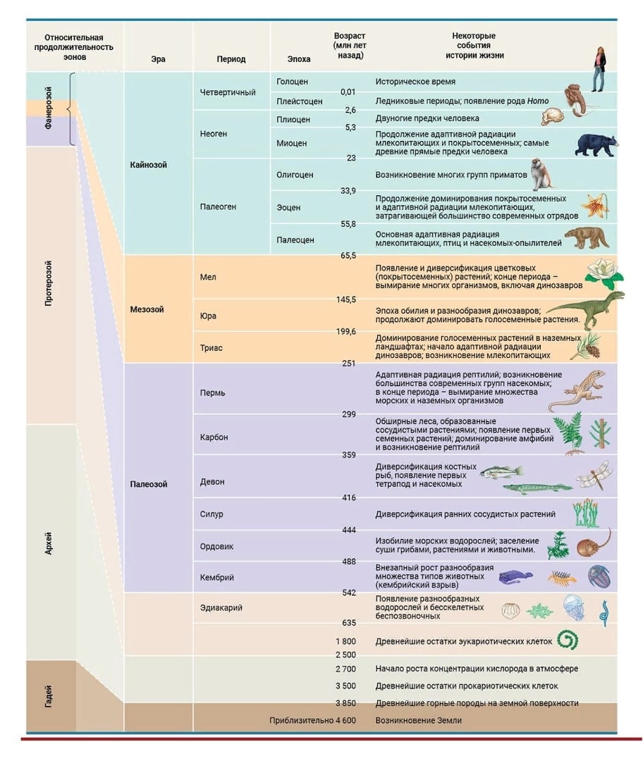 Хронологическая таблица эры. Геохронологическая таблица Эволюция растений. Геохронологическая таблица биология 11 класс. Эры для ЕГЭ по биологии таблица. Геохронологическая таблица биология 9 класс.