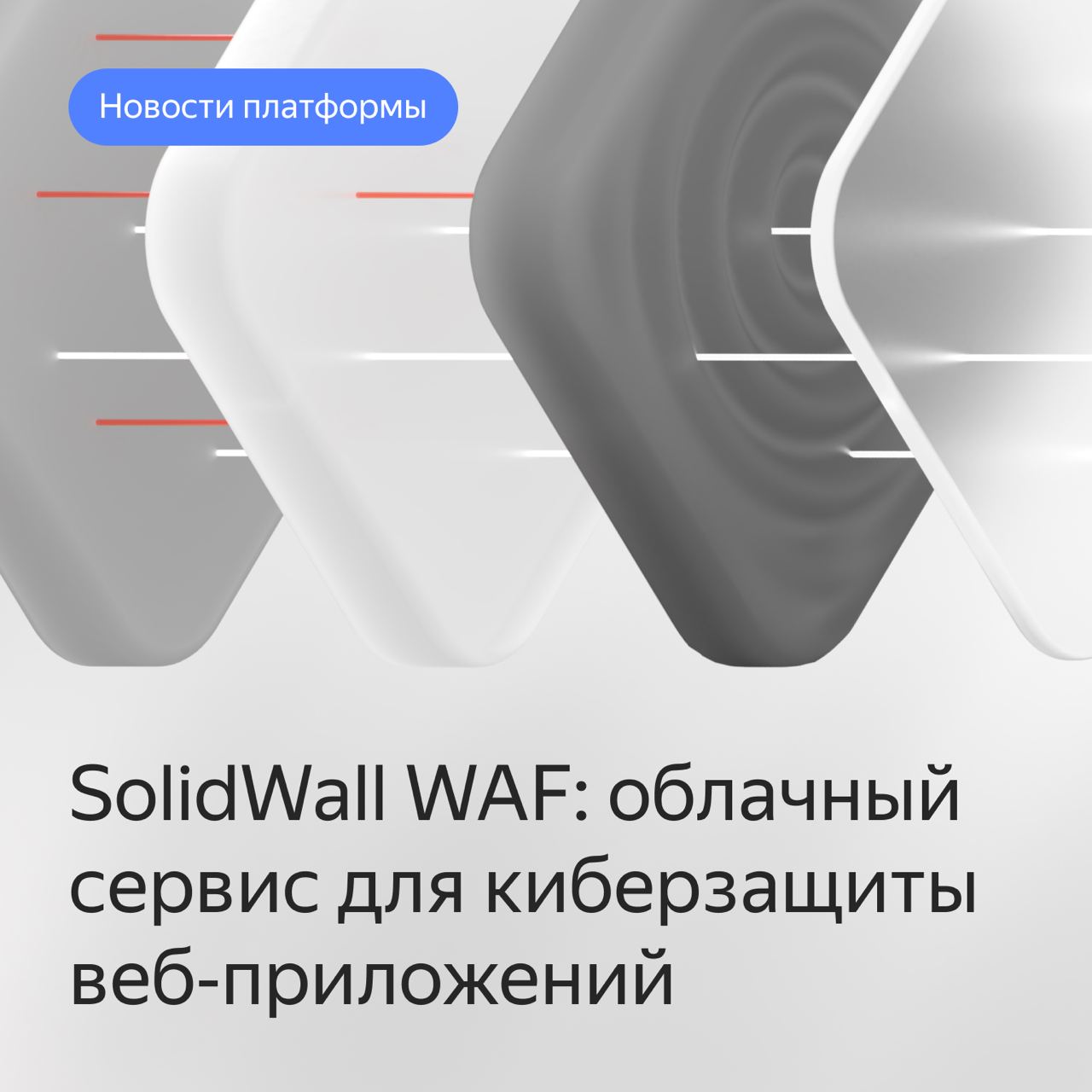 Solidwall waf. Solidwall logo. Solidwall.