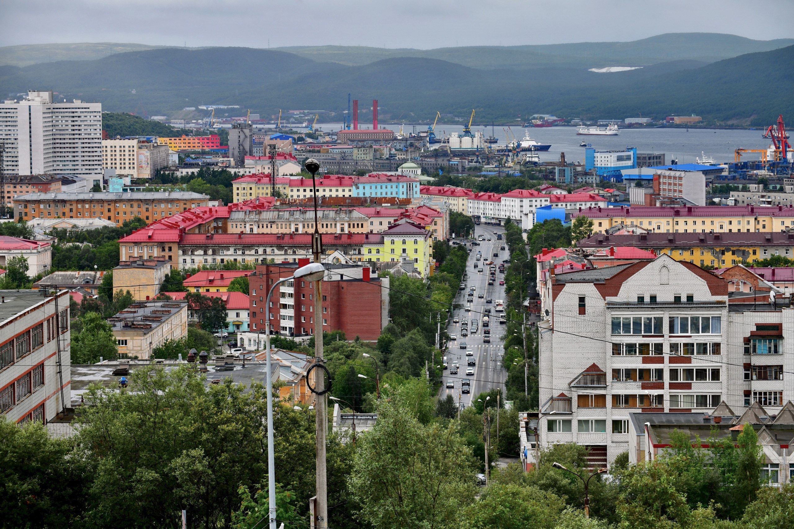 Цветы заполярья мурманск