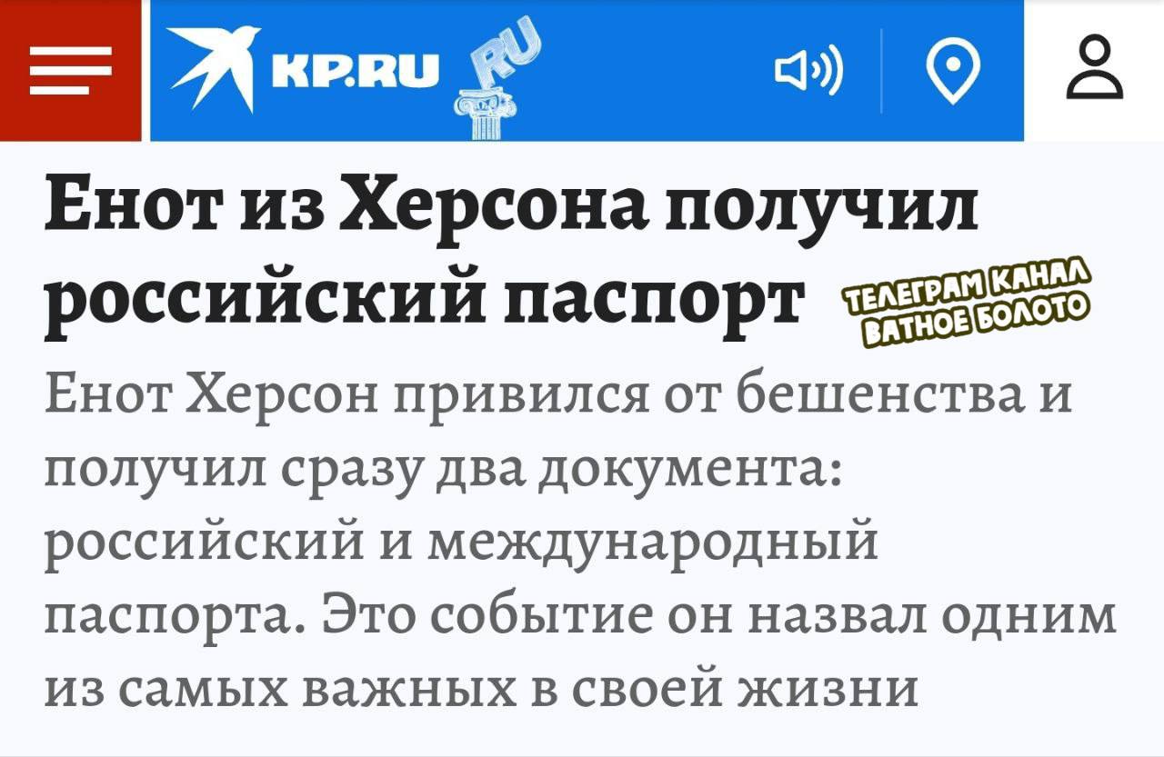 Ватное болото телеграм