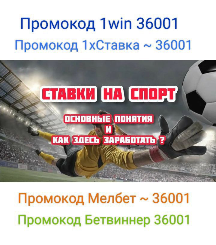 БК Шахты Чемпионат 2014-2015.