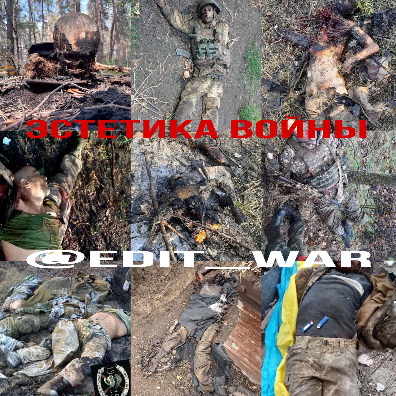 Треш война украина телеграмм фото 58