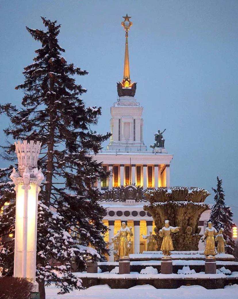 парк вднх в москве зимой