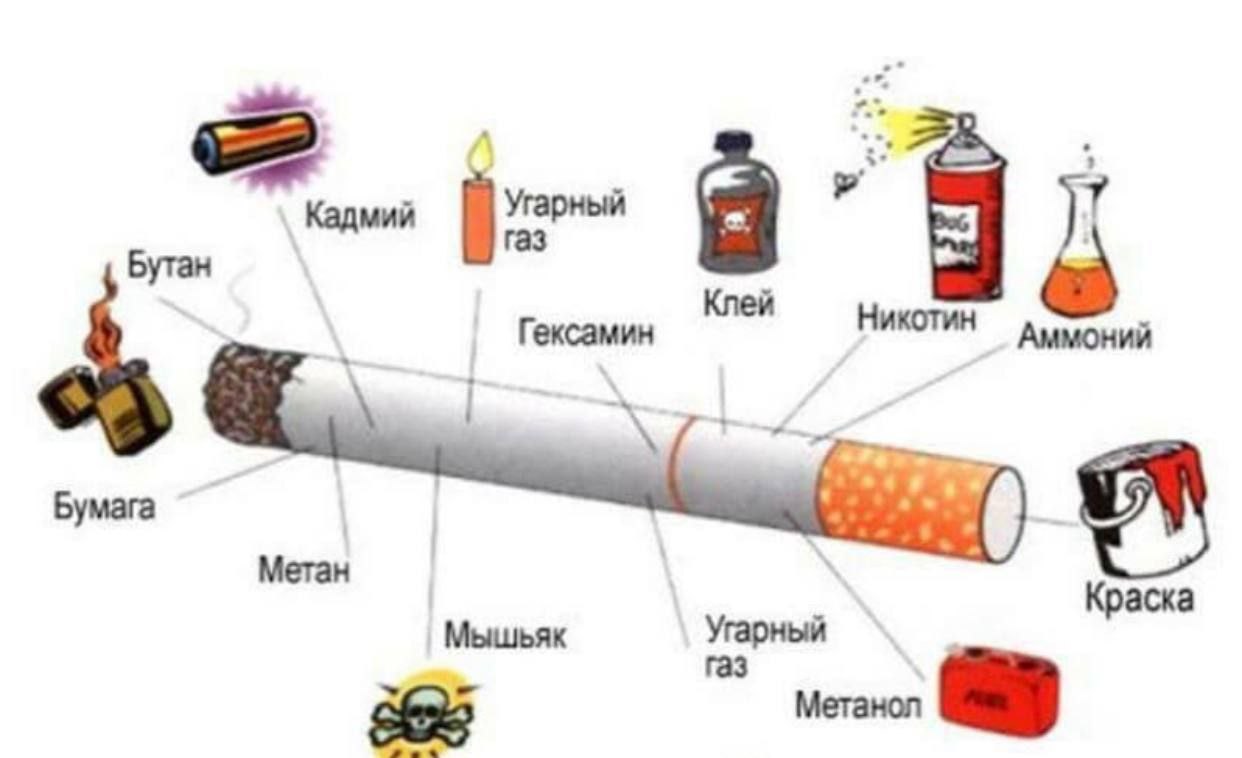 Что содержит никотин. Состав сигареты. Из чего состоит сигарета. Части сигареты. Строение сигареты.