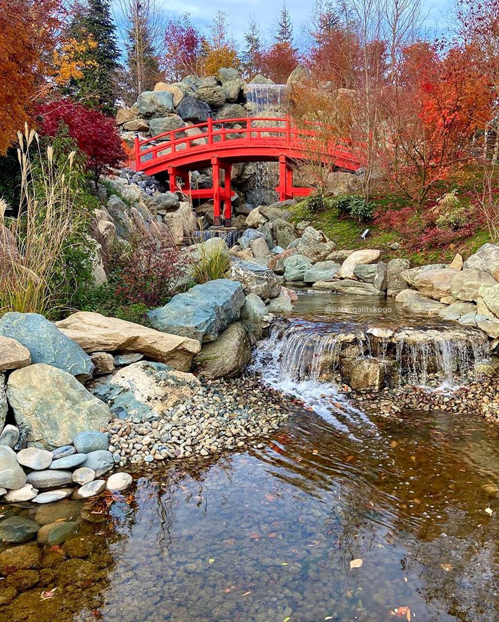 парк галицкого японский сад