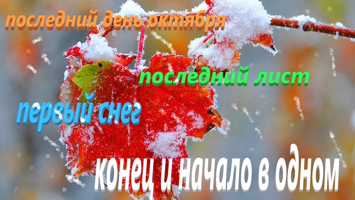 31 октября доброе утро. С последним днем октября доброе утро. С добрым утром последний день октября. Доброе утро понедельника последний день октября. Добрый день последний день октября.