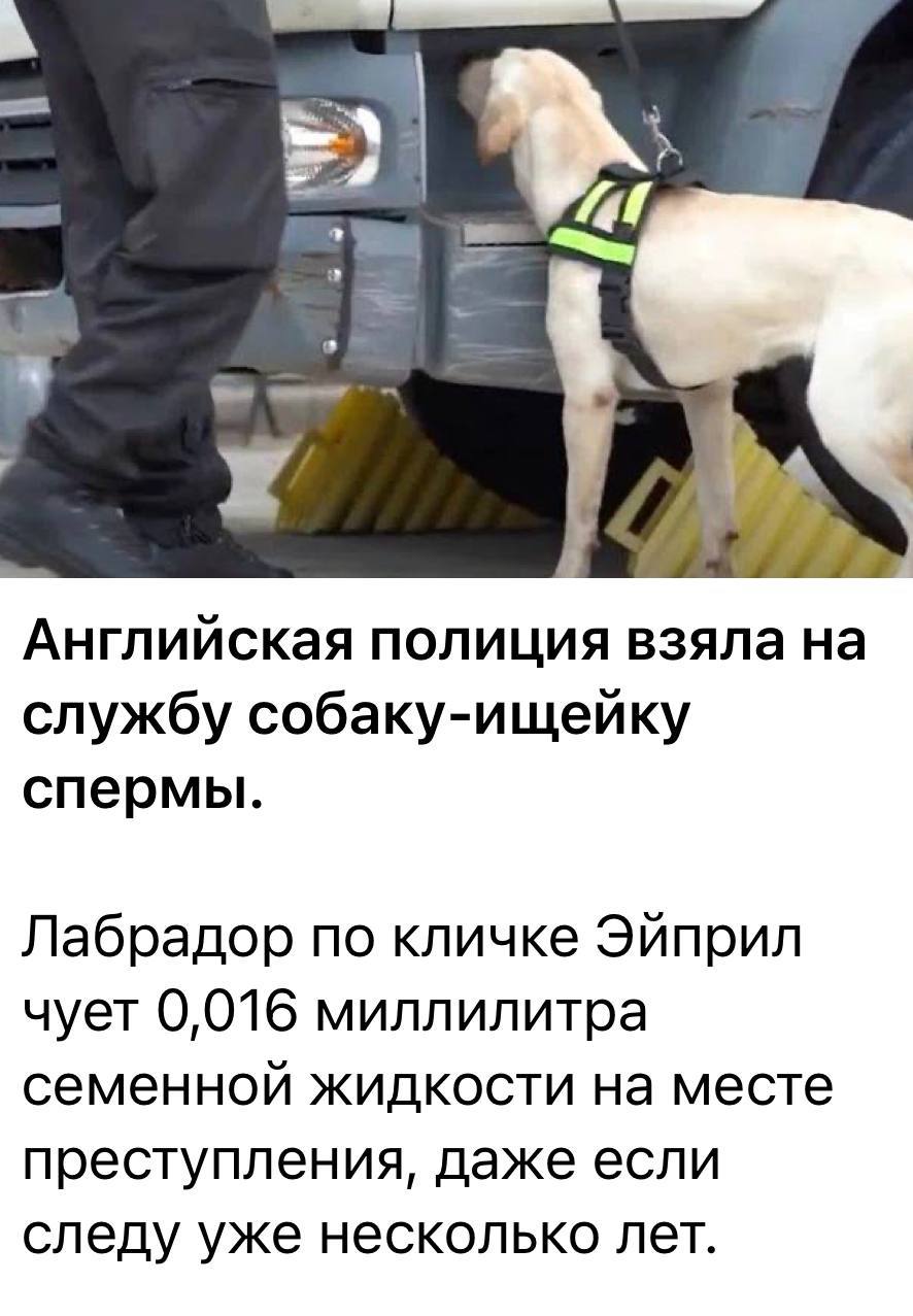 Пришлось Взять Вонючий Член