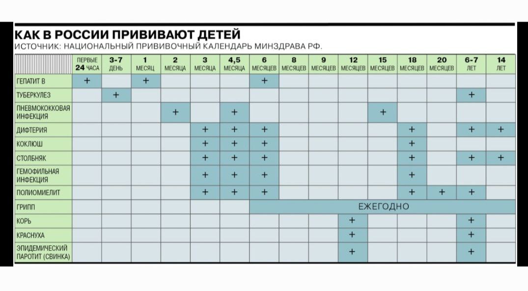 Краснуха прививка взрослым схема вакцинации