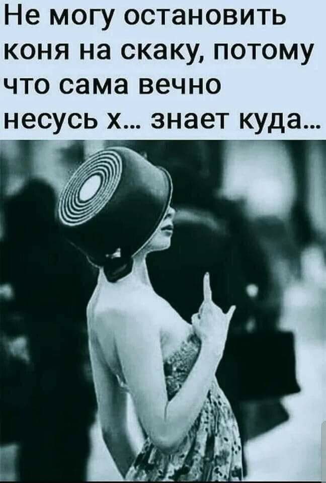 Просто я не могу остановиться. Коня на скаку остановит юмор. Коня на скаку остановит в горящую избу. Коня на скаку остановит. ��🏻‍♀️давай посмеёмся | женский юмор.