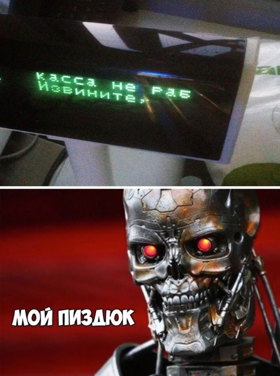 Терминатор мемы