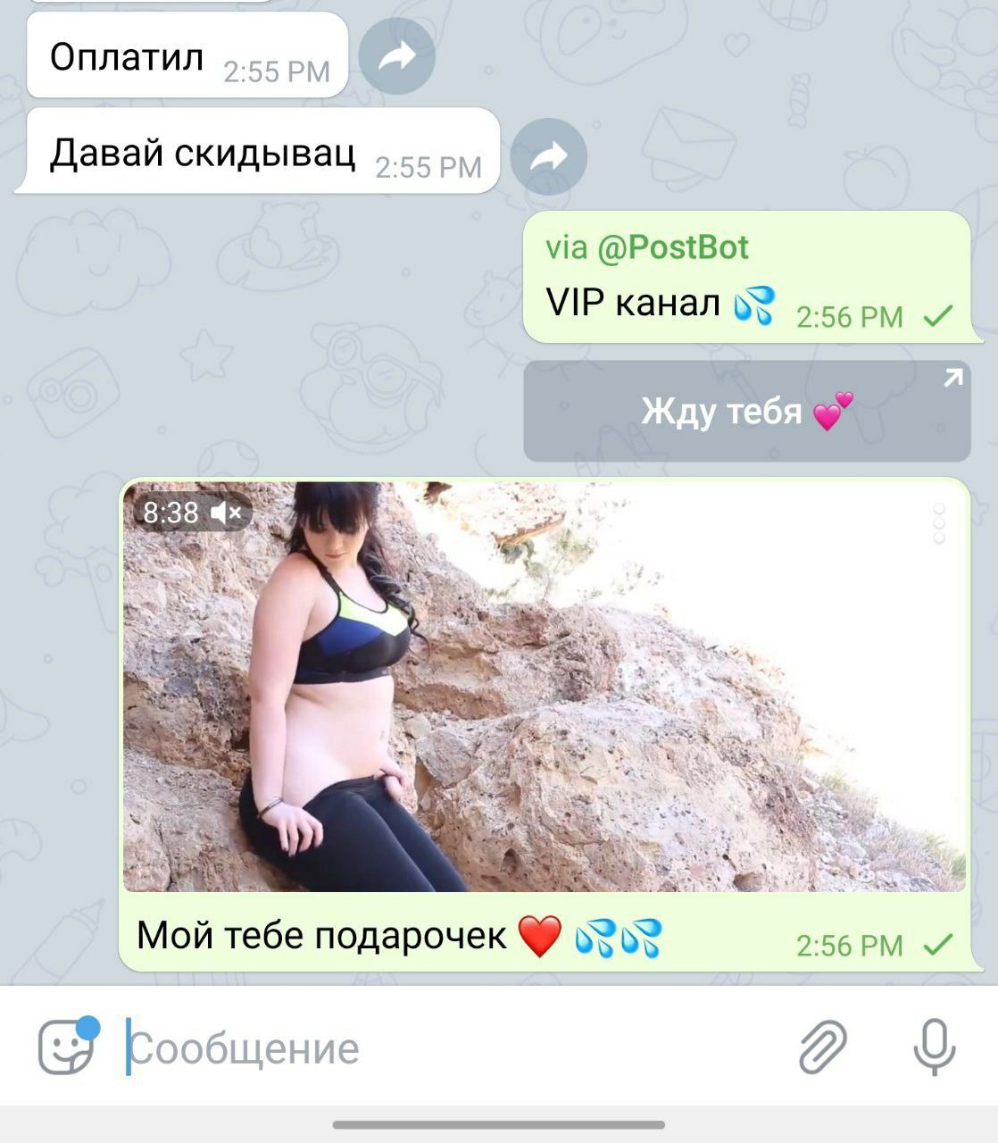 Telegram-канал 