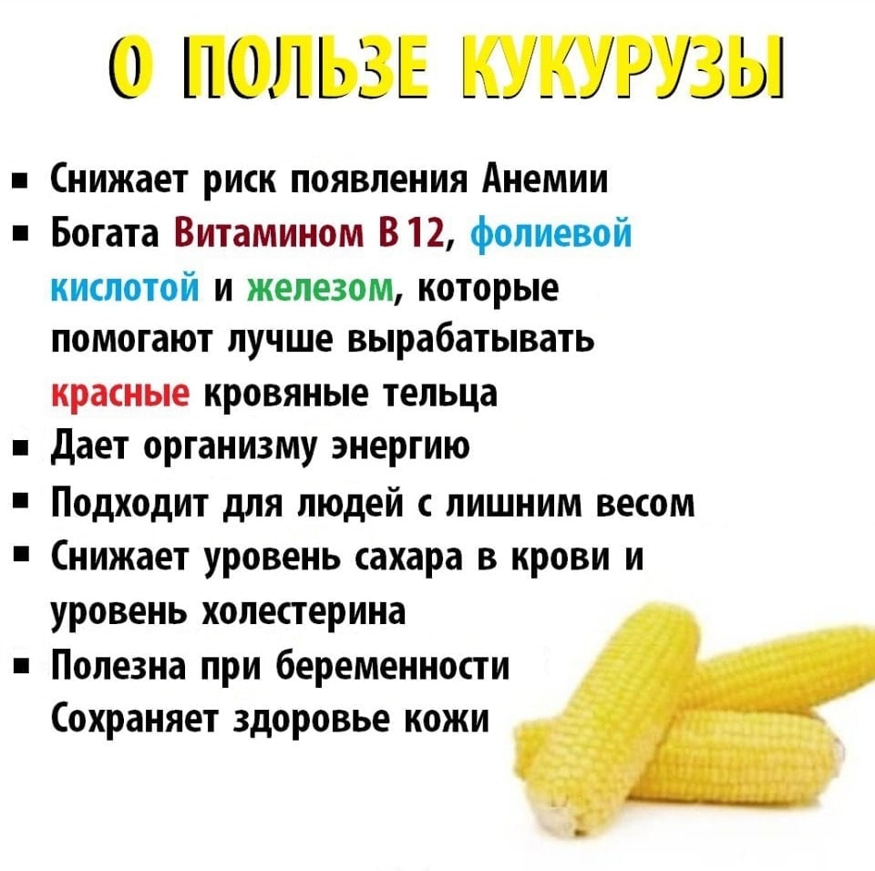 Чем полезна кукуруза