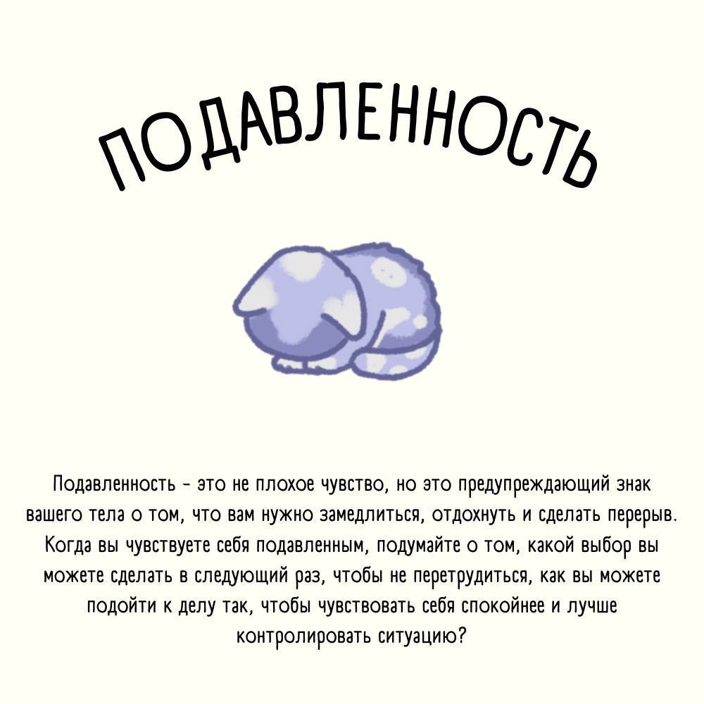 Правда и котики телеграмм