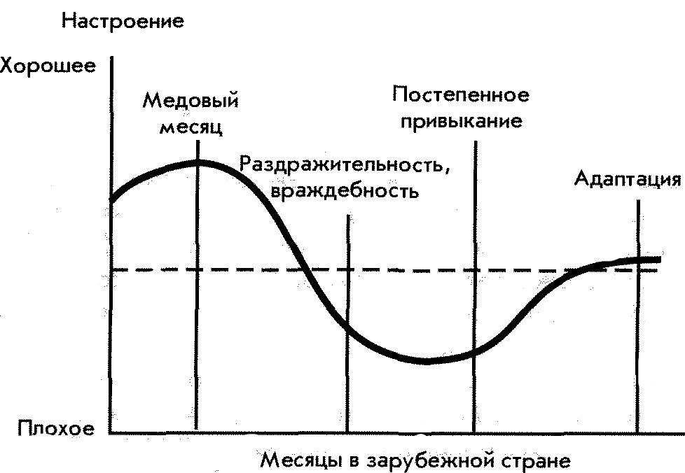 Страна кривая. Фазы культурного шока. Фазы кросс-культурного шока. Фазы развития культурного шока. Стадии культурного шока Оберга.