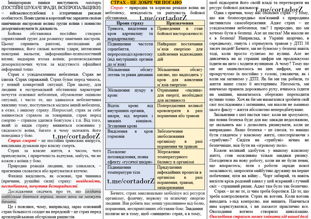 Неофициальный безсонов z телеграмма канал фото 33