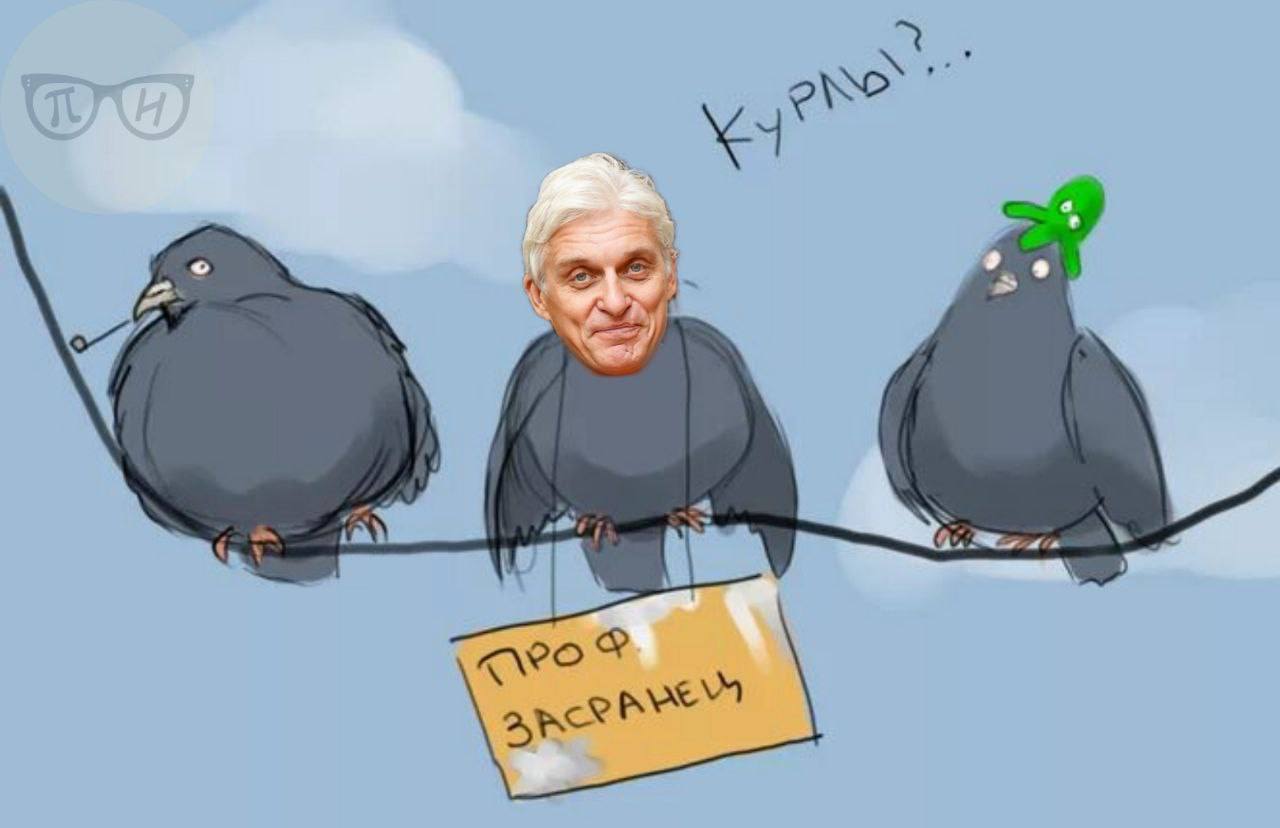 Смешной голубь