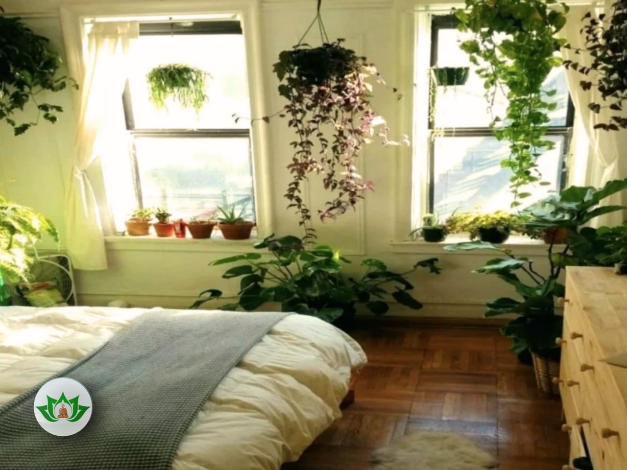Комната без растений. Комната с растениями. Растения в интерьере спальни. Комнатные растения в спальне. Уютная спальня с растениями.