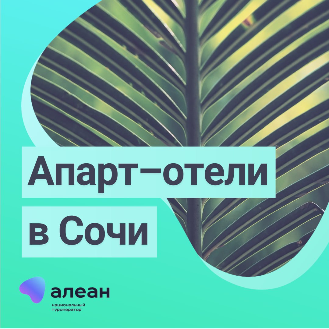 Кстати о Сочи 🌴. 