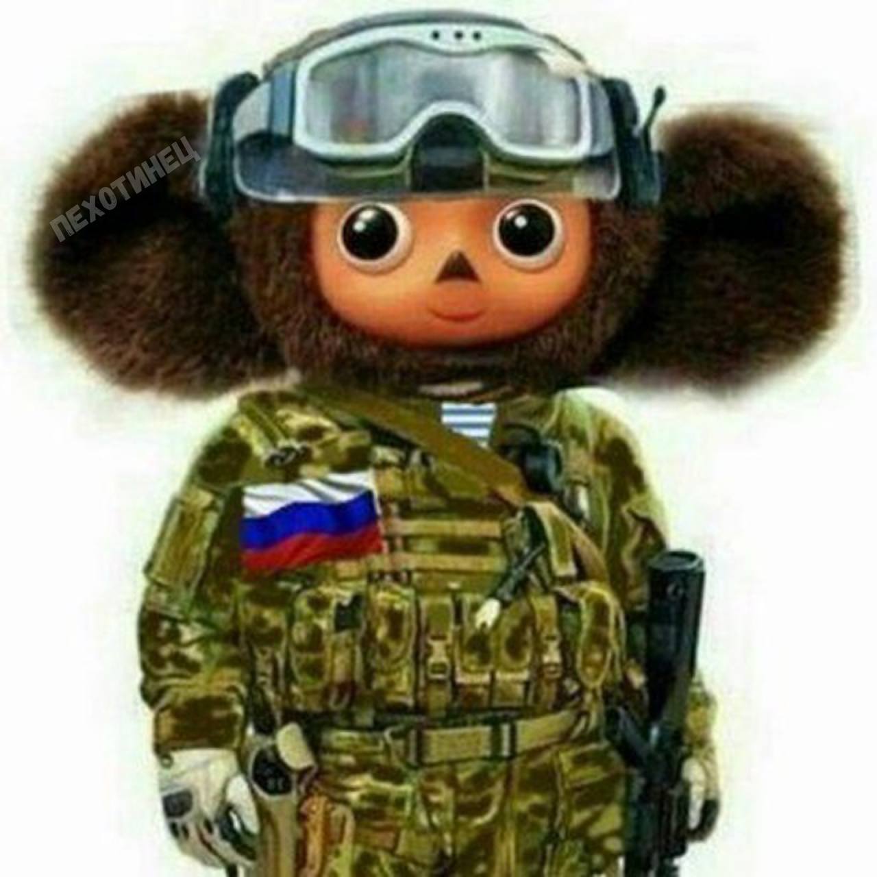 Крокодил гена в военной форме