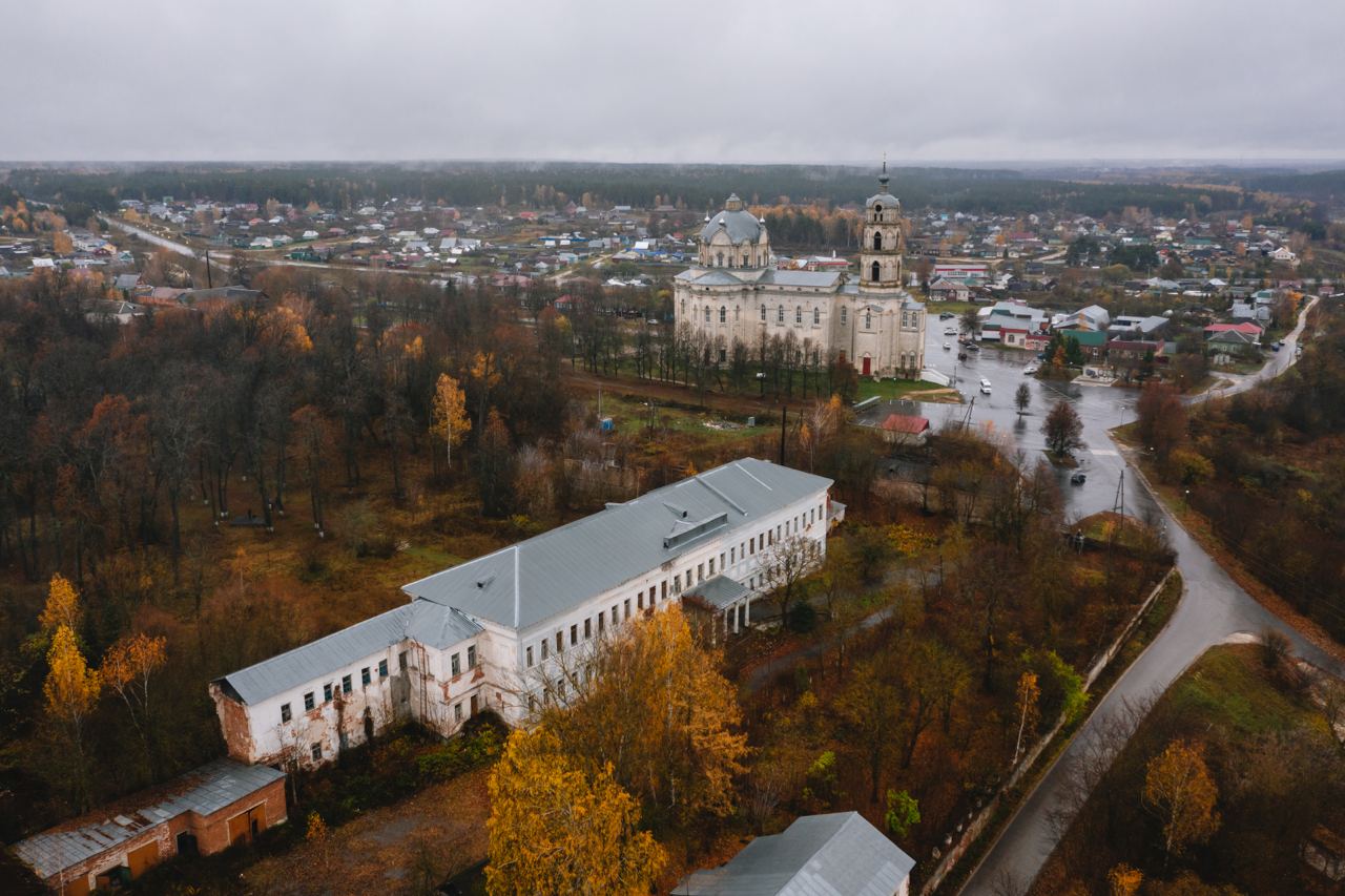 Гусь Железный Девятов