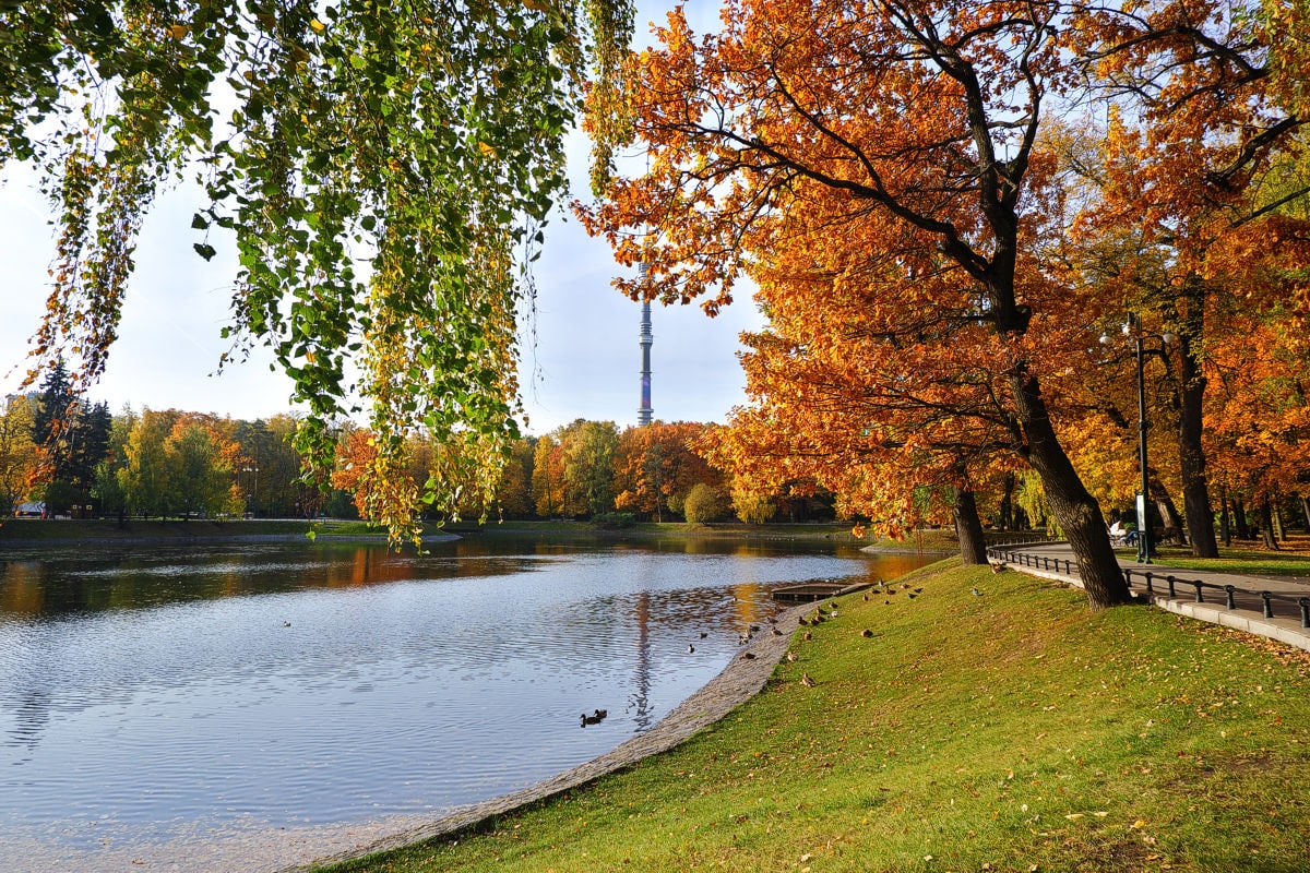 Где сейчас осень. Парк Останкино осень. Парк Останкино пруд. Осенний парк в Москве Останкино. Парк Останкино, Москва, Липовая аллея.