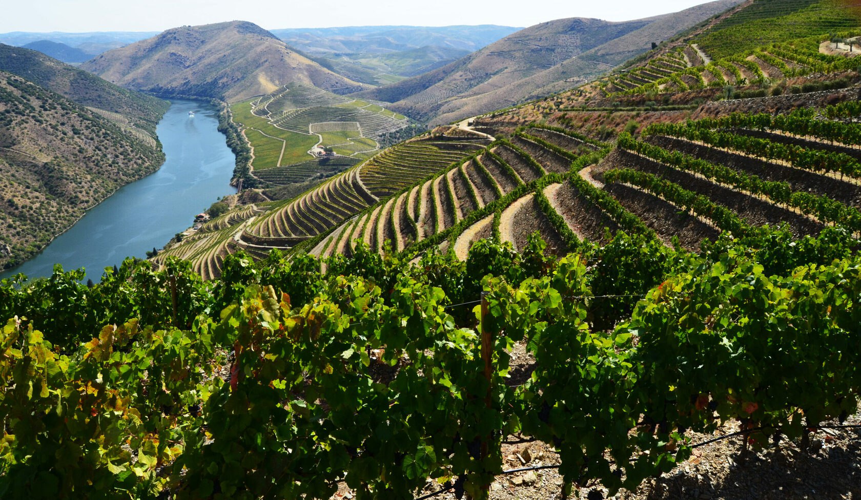 Vina gormaz. Дору Португалия винодельческий регион. Долина реки Дору Португалия. Португалия виноградники Дору. Винью Верде Португалия винодельческий регион.