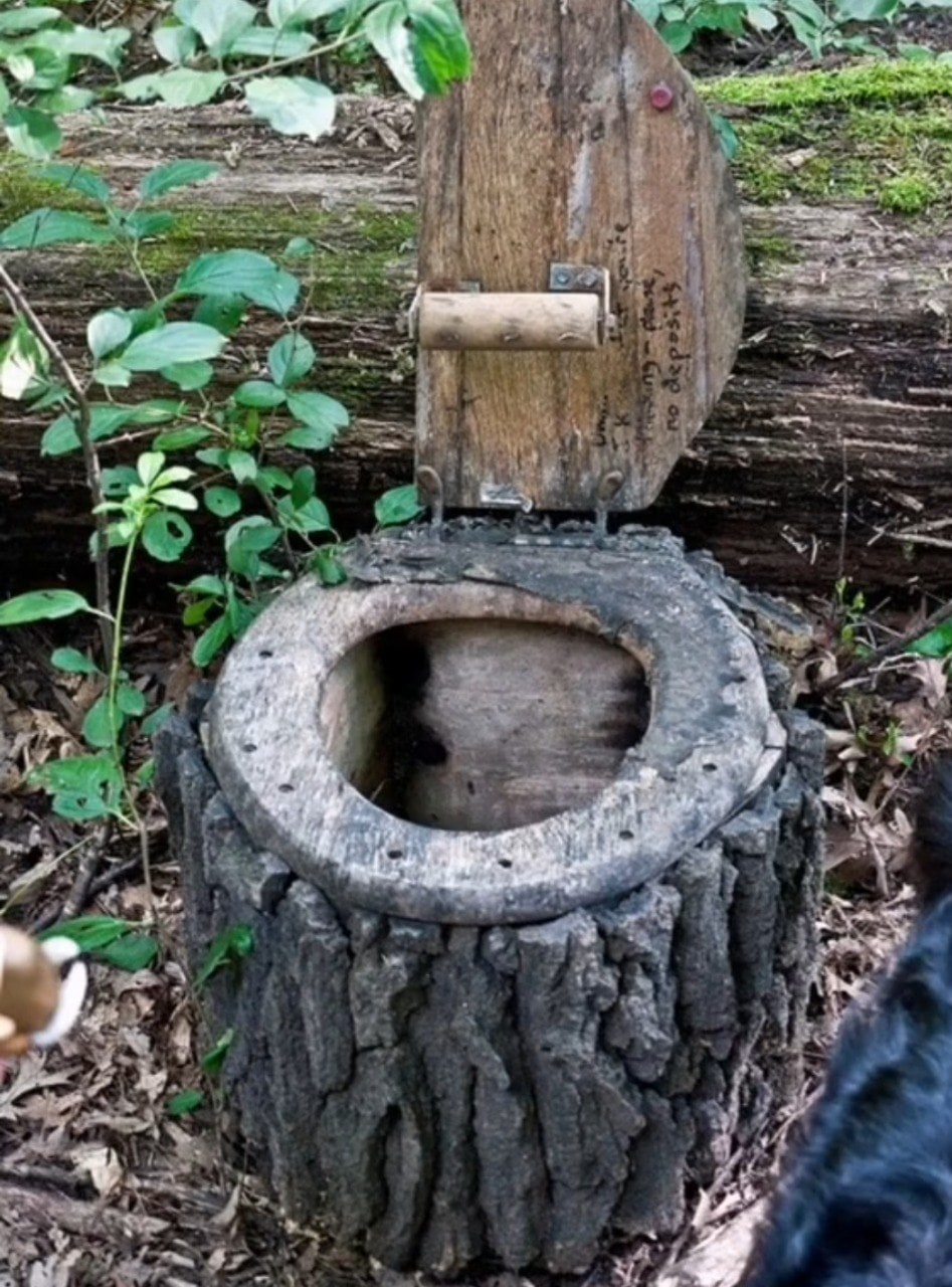 Туалет из стволов деревьев