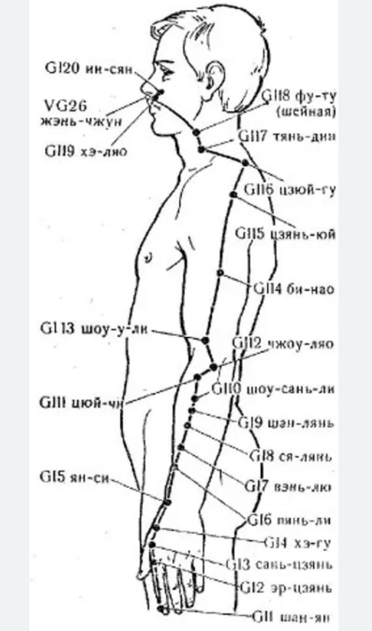 Точка g 10. Меридиан толстой кишки биологически активные точки. Меридиан Толстого кишечника точки акупунктуры. Точек Толстого кишечника акупунктура. Канал Толстого кишечника акупунктурные точки.