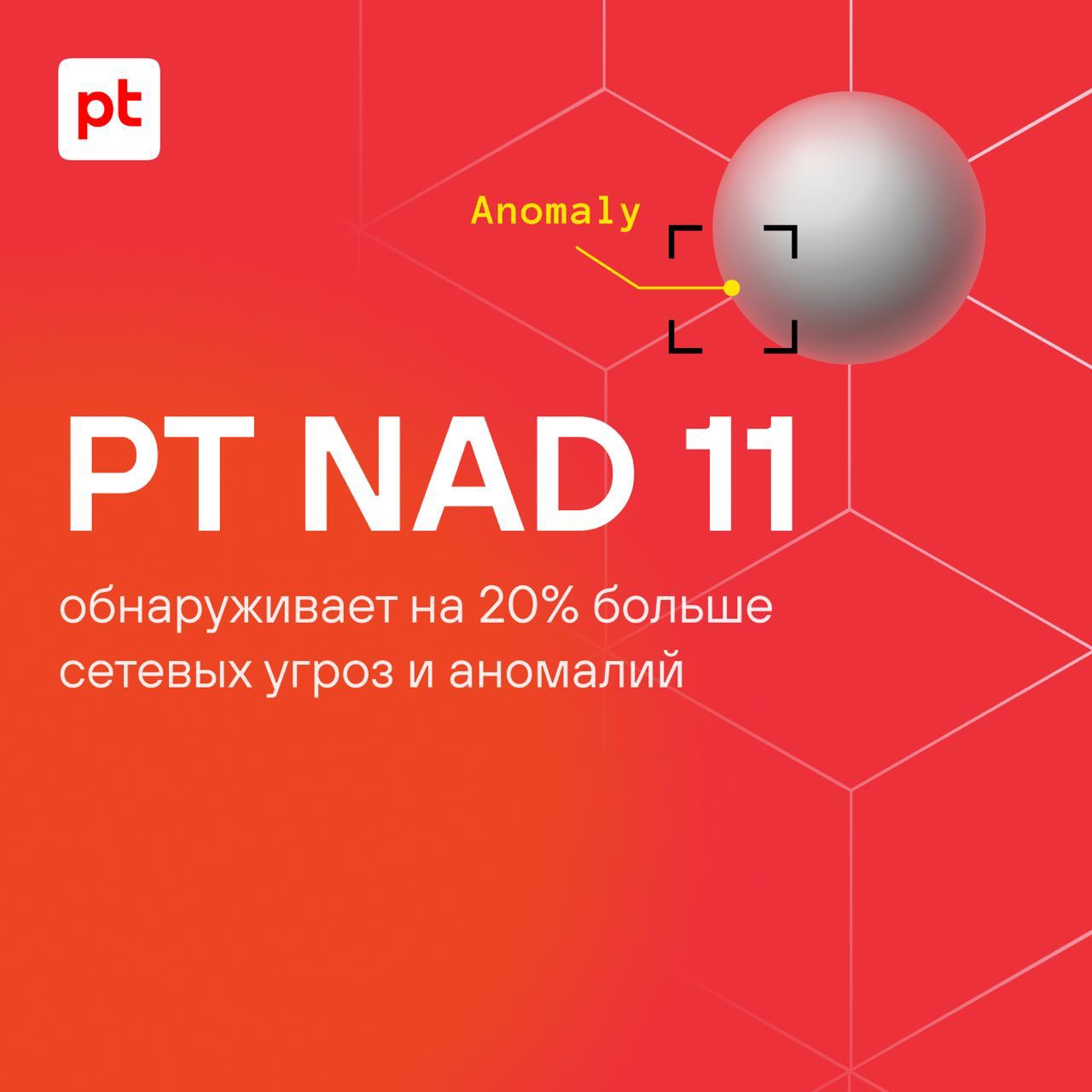 Pt network