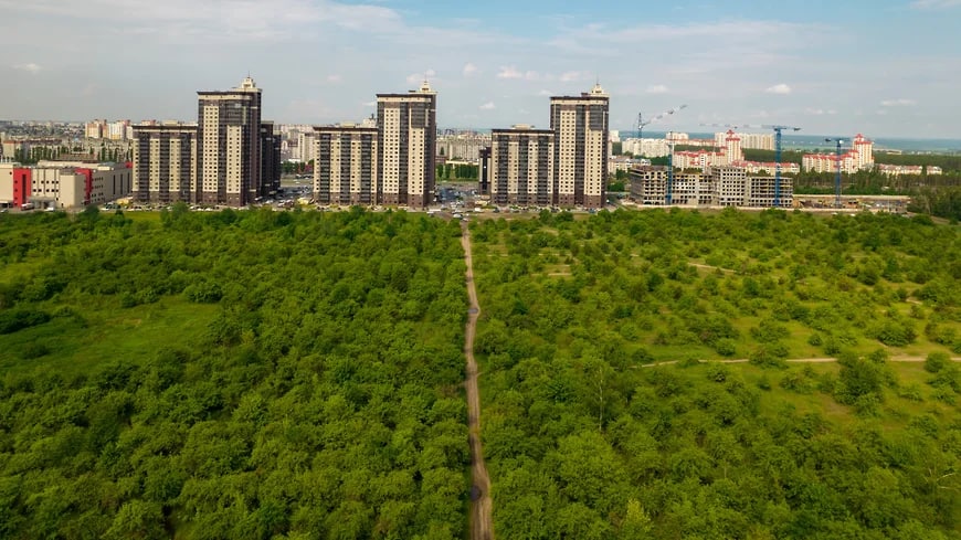 План застройки яблоневого сада в воронеже