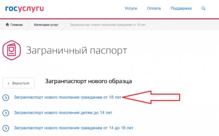 Загранпаспорт нового образца через госуслуги пошаговая инструкция взрослому
