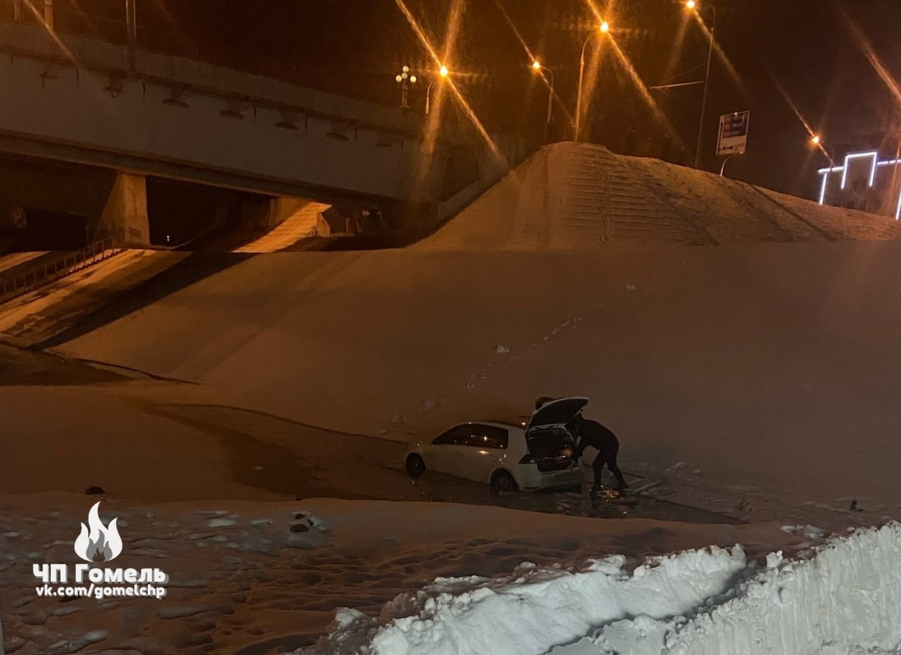 Немо гомель