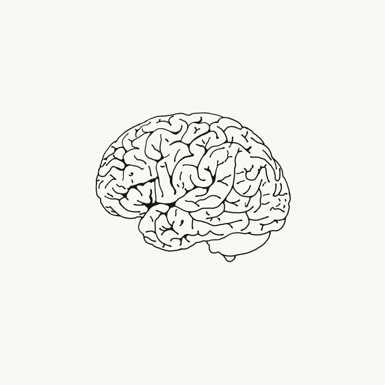 Мозг Минимализм