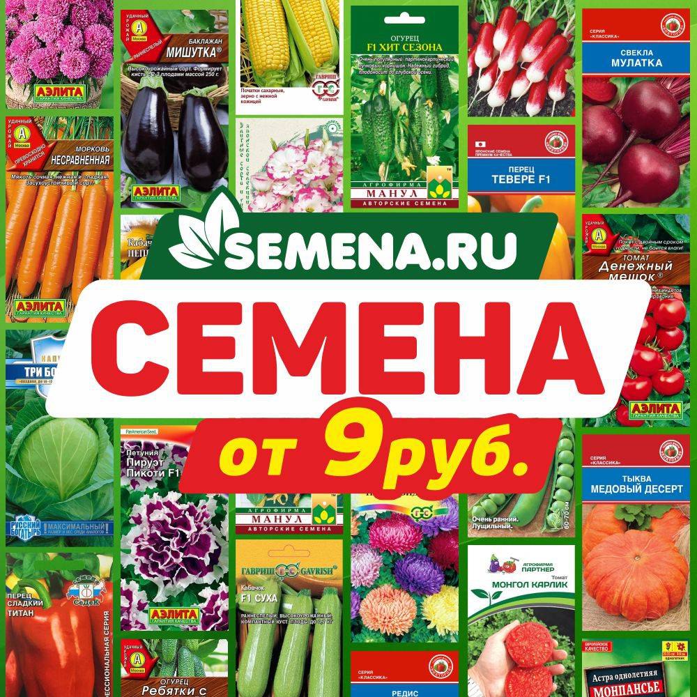 Семена ру