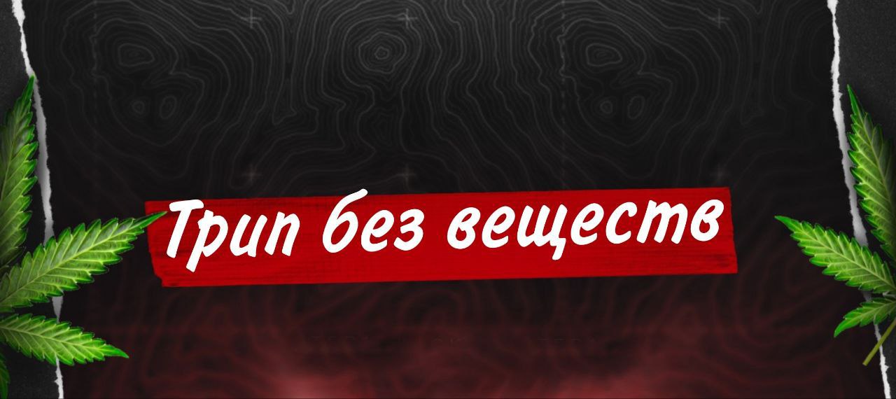 Чаты даркнет mega скачать tor browser на русском бесплатно с сайта mega